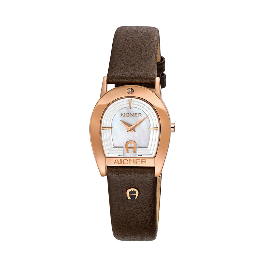 Picture of Aigner Varese Women Analog Watch ARWLA0000502