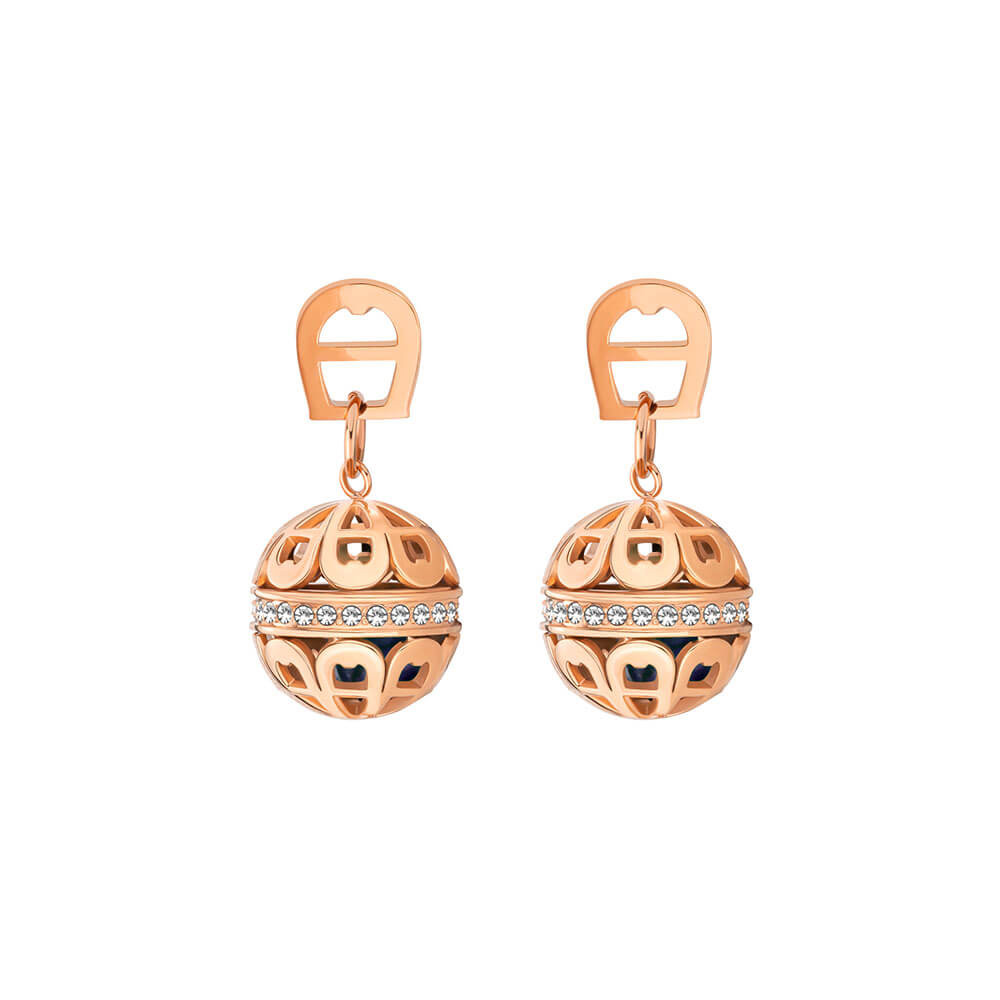 Picture of Aigner Sancia Earrings ARJLE0003513