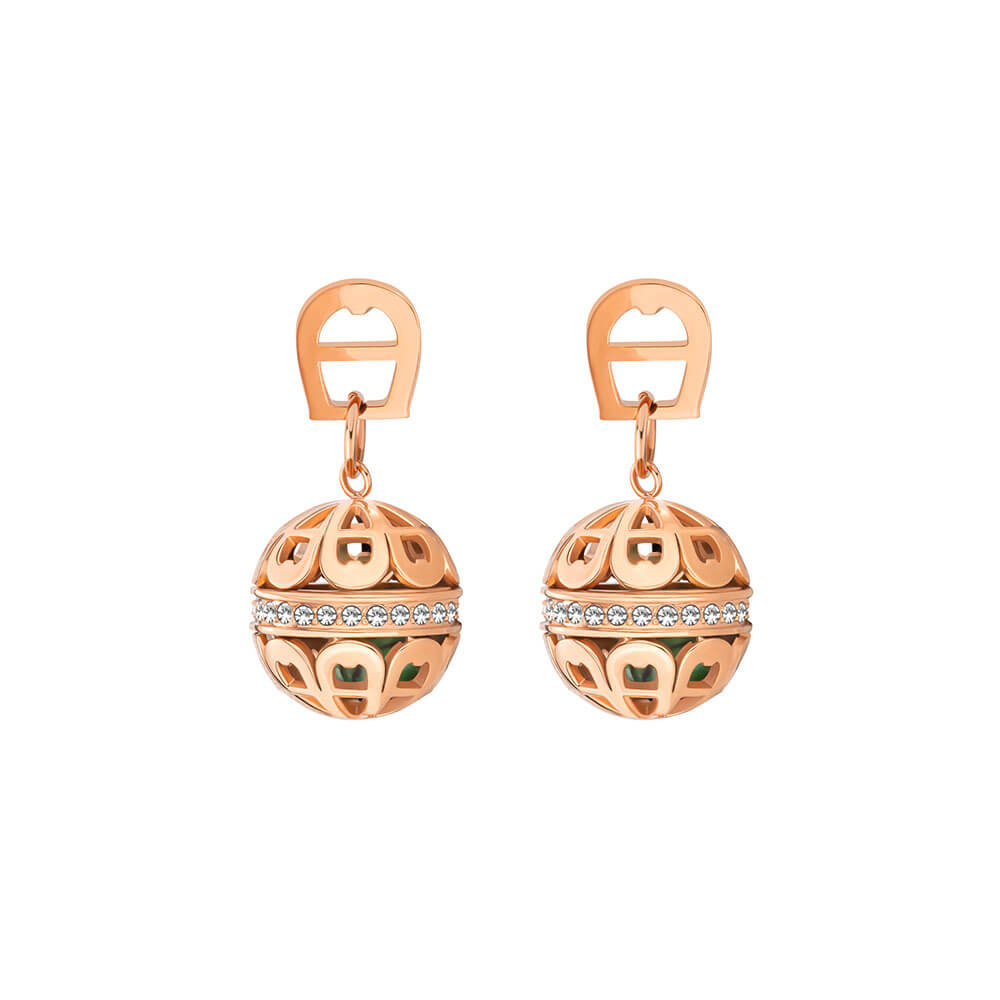 Picture of Aigner Sancia Earrings ARJLE0003503