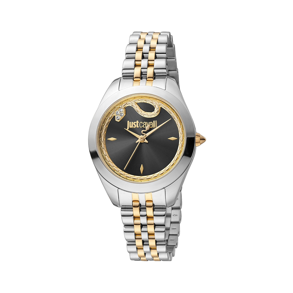 Picture of Just Cavalli Lady Watch JC1L210M0305