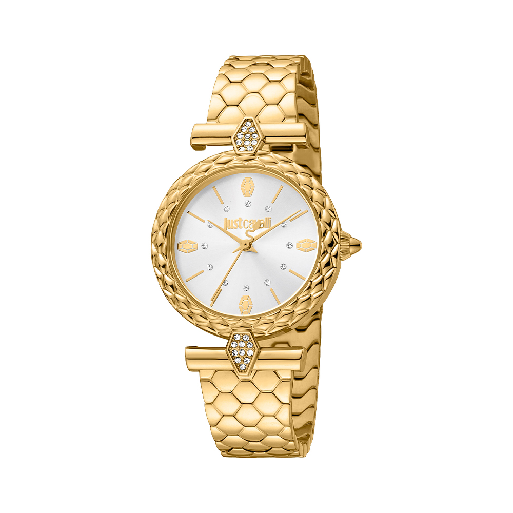 Picture of Just Cavalli Trama Doppio Women Watch JC1L213M